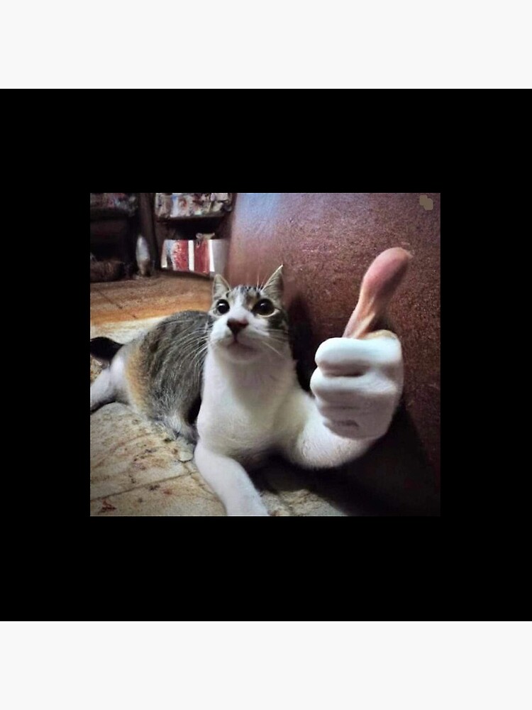Funny Cat Meme Human Hand Thumbs Up