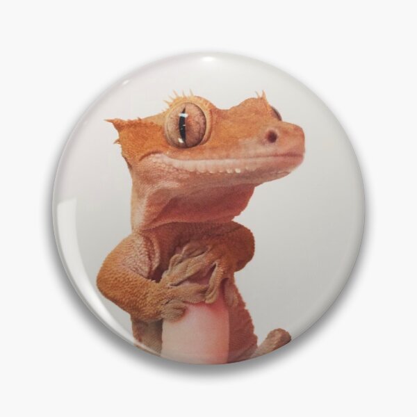 Item preview, Crested Gecko designed and sold by curiocabinets.