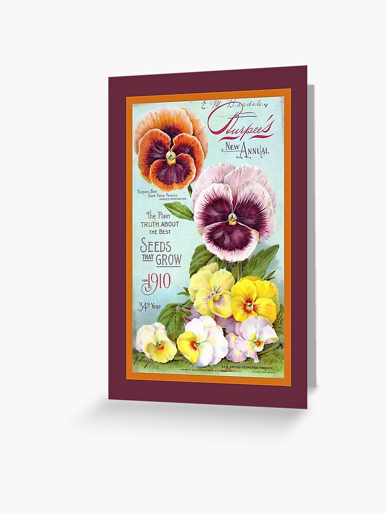 Vintage Seed Pack Art - Old Seed Packet Art | Greeting Card