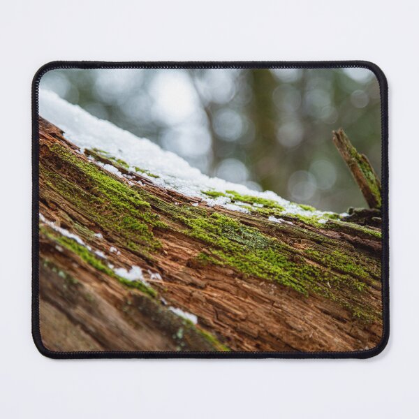 Item preview, Icy Moss designed and sold by Daniel's Destinations.