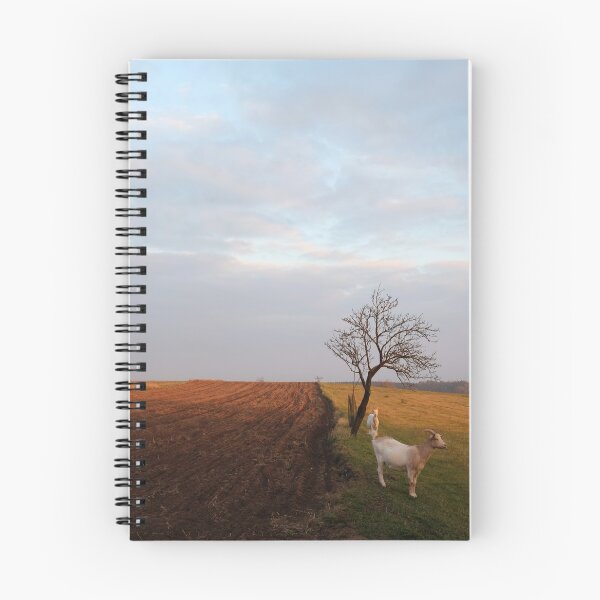 Item preview, afternoon goats designed and sold by Michael Hofmann.