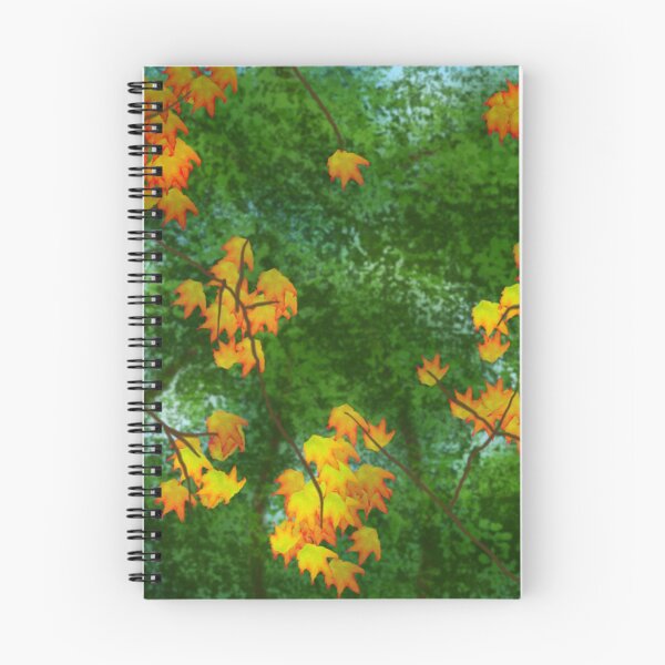 Item preview, Autumn Trees designed and sold by thebigG2005.