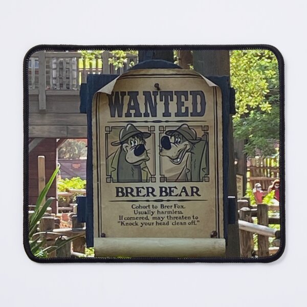 Item preview, Brer Bear from Splash Mountain designed and sold by disneytipsguy.