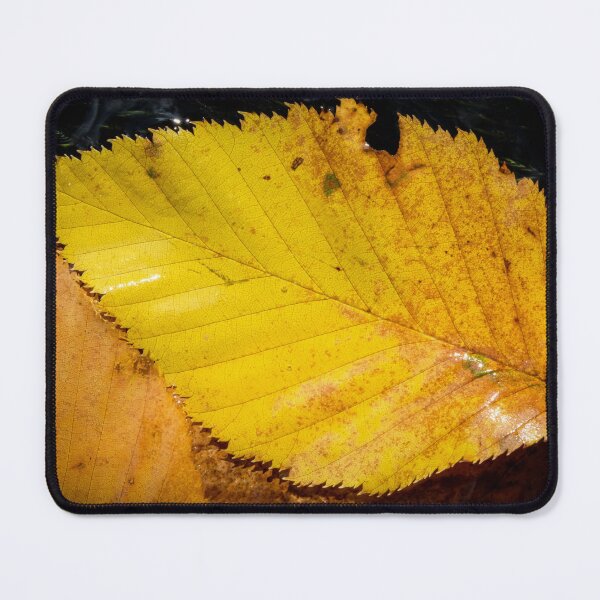 Item preview, Fallen Leaf designed and sold by Daniel's Destinations.