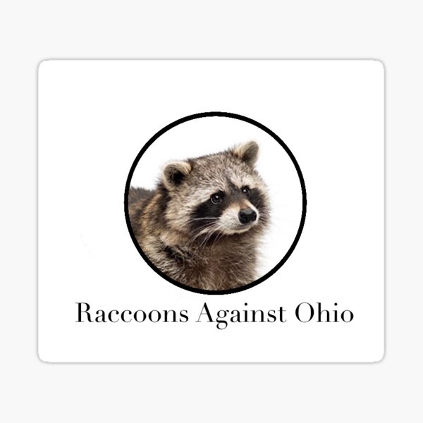 "raccoons against Ohio" Sticker for Sale by sloth--baby | Redbubble