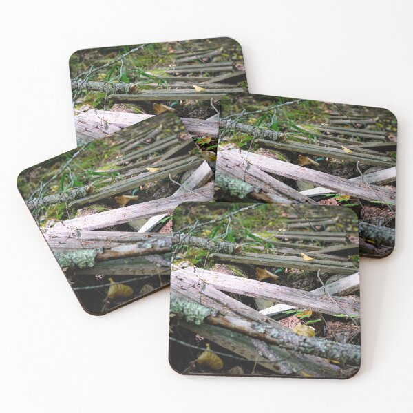 Item preview, Abandoned Path designed and sold by Daniel's Destinations.