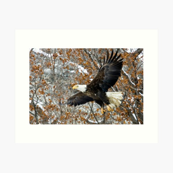 Hanging Around Art Print