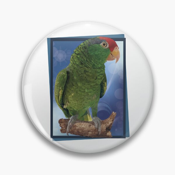 Item preview, the tamaulipan parrot designed and sold by obscurite.
