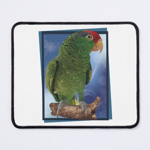 Item preview, the tamaulipan parrot designed and sold by obscurite.