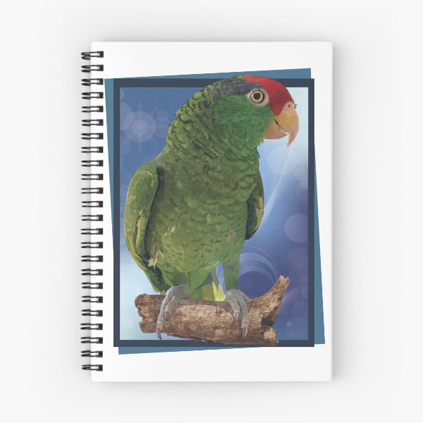 Item preview, the tamaulipan parrot designed and sold by obscurite.