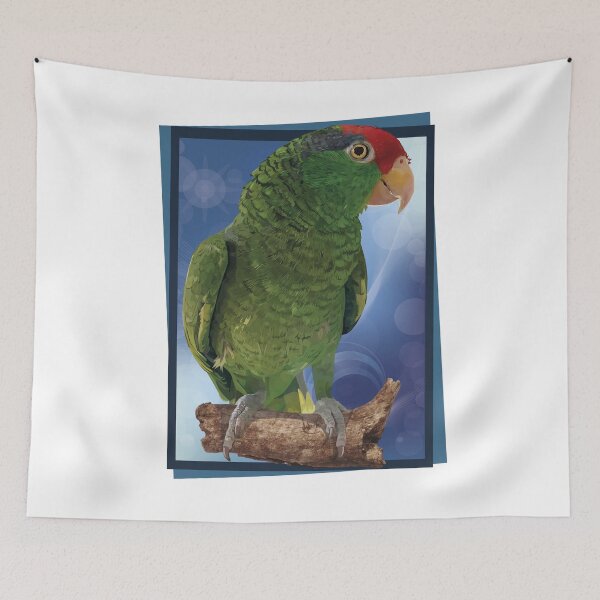 Item preview, the tamaulipan parrot designed and sold by obscurite.