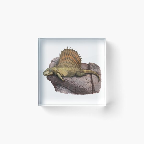 Item preview, Dimetrodon designed and sold by SerpenIllus.