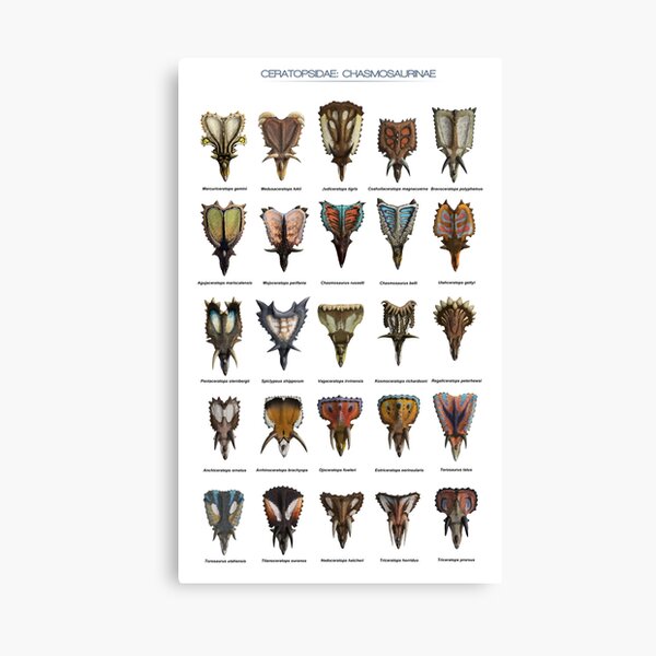 Item preview, Front view of ceratopsid heads designed and sold by SerpenIllus.