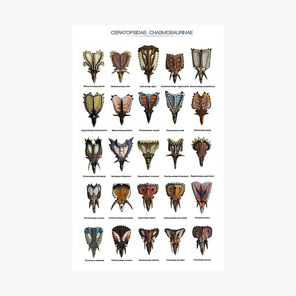Item preview, Front view of ceratopsid heads designed and sold by SerpenIllus.