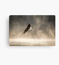 Warming Sunrise With An American Bald Eagle Canvas Print