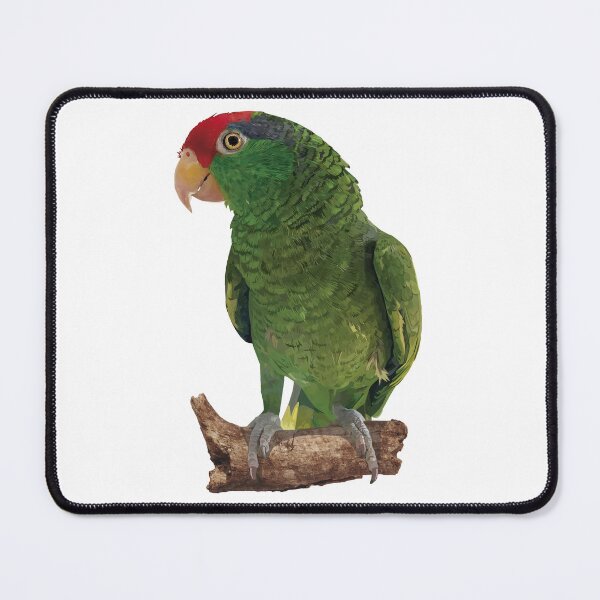 Item preview, the tamaulipan parrot designed and sold by obscurite.