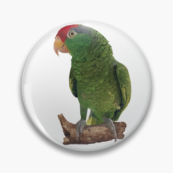 Item preview, the tamaulipan parrot designed and sold by obscurite.