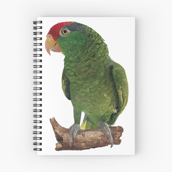 Item preview, the tamaulipan parrot designed and sold by obscurite.