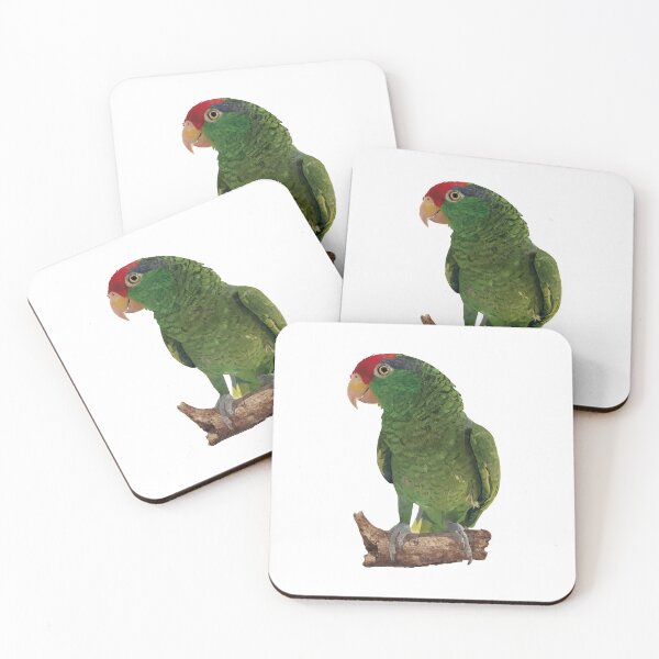 Item preview, the tamaulipan parrot designed and sold by obscurite.