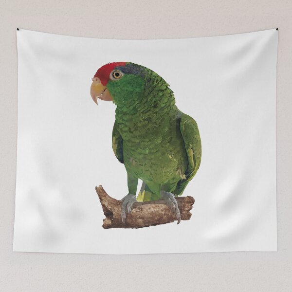 Item preview, the tamaulipan parrot designed and sold by obscurite.