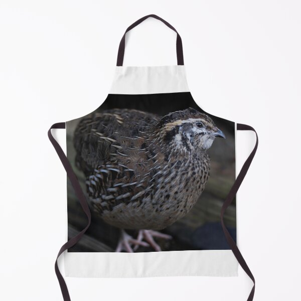 Item preview, Quail Crossing designed and sold by LeoGurl.