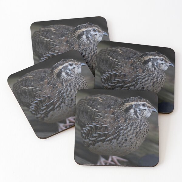 Item preview, Quail Crossing designed and sold by LeoGurl.
