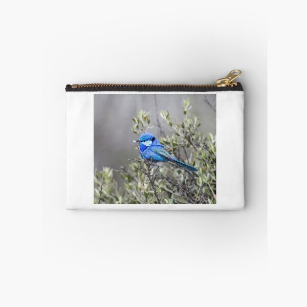 Item preview, Splendid Fairy-wren designed and sold by John Donkin.