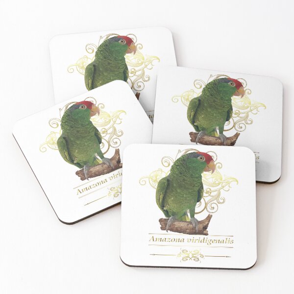 Item preview, the tamaulipan parrot designed and sold by obscurite.