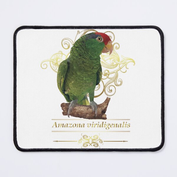 Item preview, the tamaulipan parrot designed and sold by obscurite.