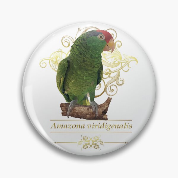 Item preview, the tamaulipan parrot designed and sold by obscurite.