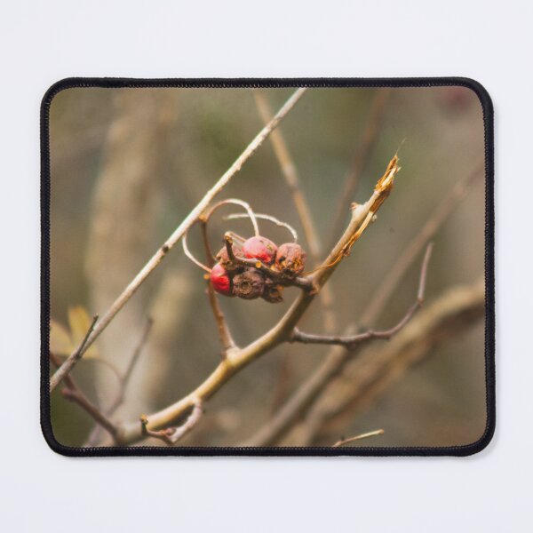 Item preview, berry cluster designed and sold by Francespoppy.