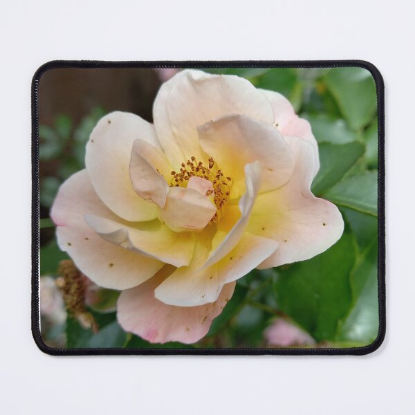 Item preview, A beautiful bengal rose designed and sold by Its-a-wild-life.