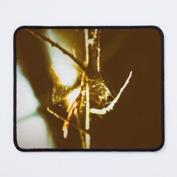 Item preview, twigs wrapped in a spiders web designed and sold by Francespoppy.