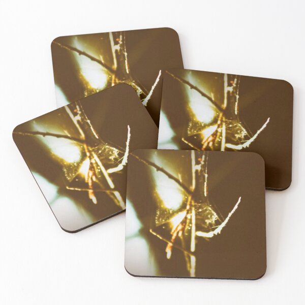 Item preview, twigs wrapped in a spiders web designed and sold by Francespoppy.