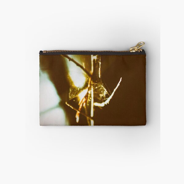 Item preview, twigs wrapped in a spiders web designed and sold by Francespoppy.