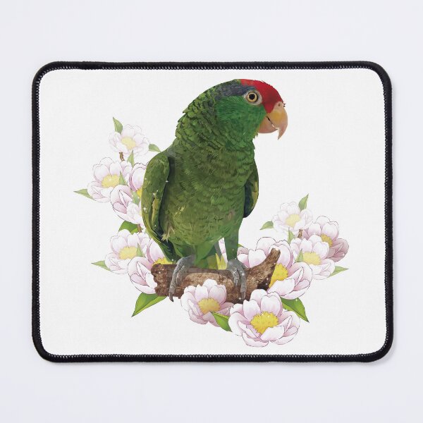 Item preview, the tamaulipan parrot designed and sold by obscurite.