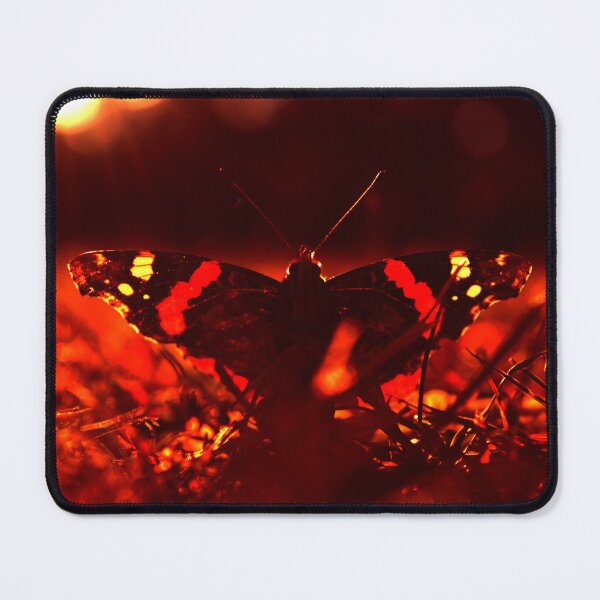 Item preview, A firey red admrial  designed and sold by Its-a-wild-life.
