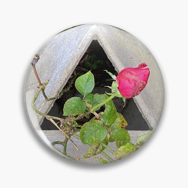 Item preview, gmtrx seni lawal 432 mm concrete icosahedron with rose  designed and sold by Seni Lawal.