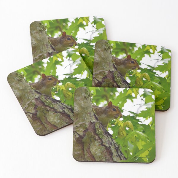 Item preview, Squirrel Watching designed and sold by UnstablePixie.