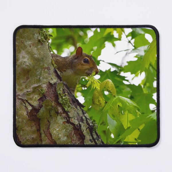Item preview, Squirrel Watching designed and sold by UnstablePixie.