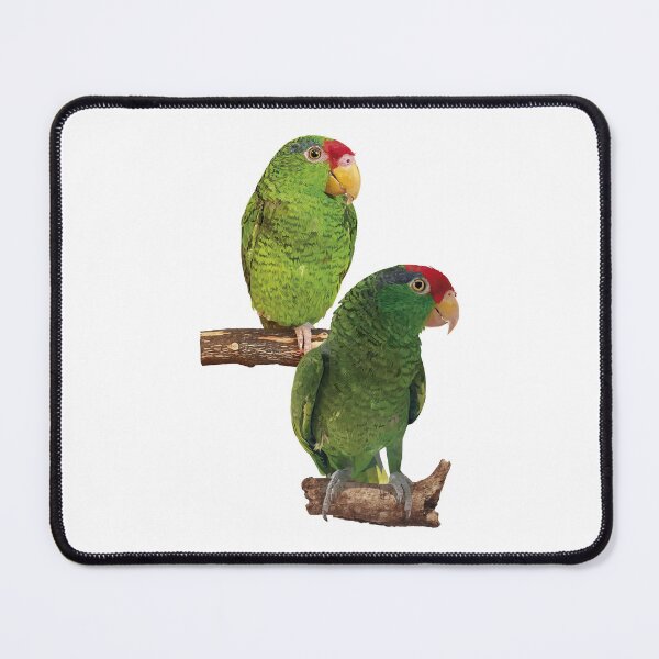 Item preview,  the tamaulipan parrot designed and sold by obscurite.