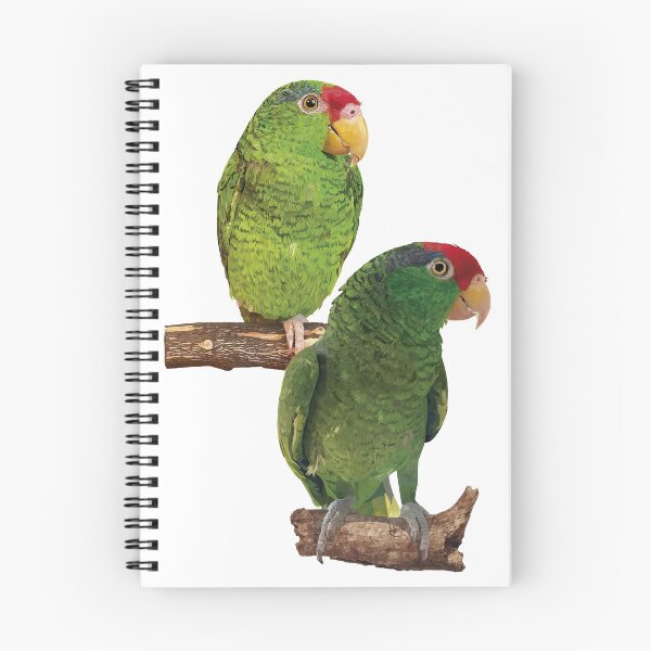 Item preview,  the tamaulipan parrot designed and sold by obscurite.