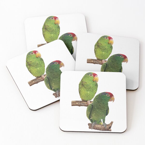 Item preview,  the tamaulipan parrot designed and sold by obscurite.