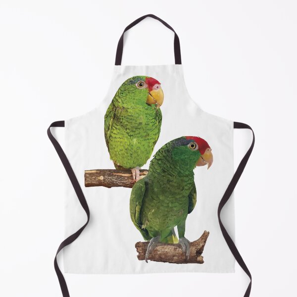 Item preview, the tamaulipan parrot designed and sold by obscurite.