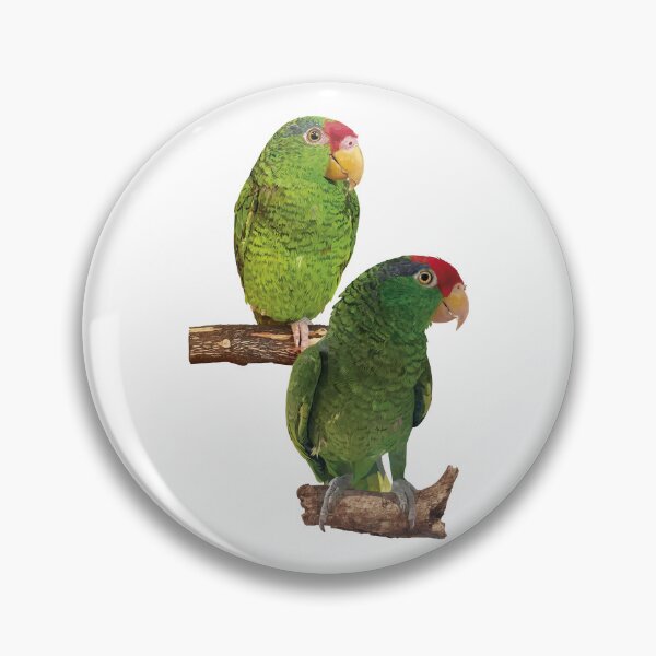 Item preview,  the tamaulipan parrot designed and sold by obscurite.