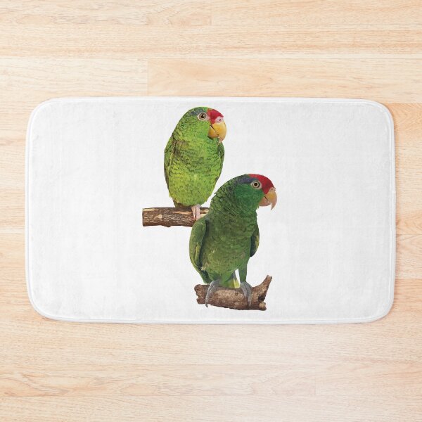 Item preview,  the tamaulipan parrot designed and sold by obscurite.