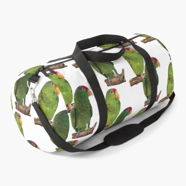 Item preview,  the tamaulipan parrot designed and sold by obscurite.