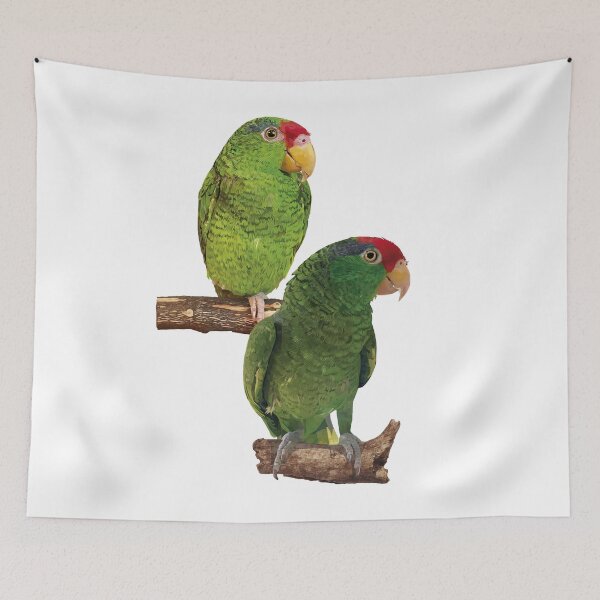 Item preview,  the tamaulipan parrot designed and sold by obscurite.