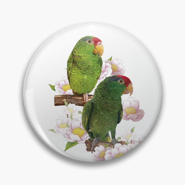 Item preview, the tamaulipan parrot designed and sold by obscurite.