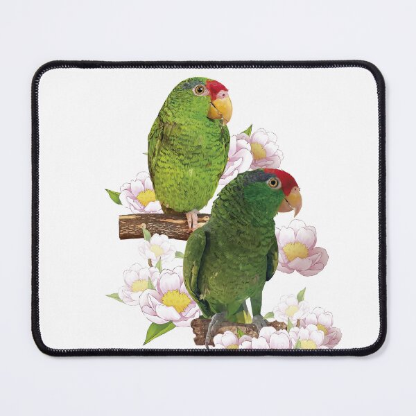 Item preview, the tamaulipan parrot designed and sold by obscurite.